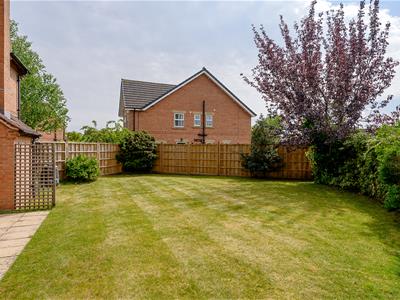 Picture 23